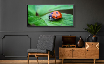 Visualisatie van het product