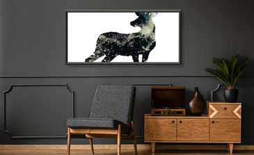 Visualisatie van het product