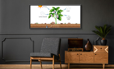 Visualisatie van het product