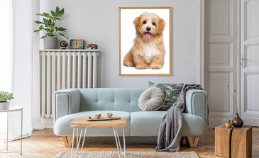 Visualisatie van het product