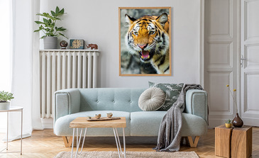 Visualisatie van het product