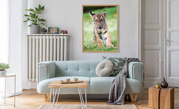 Visualisatie van het product