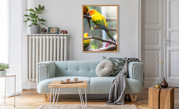 Visualisatie van het product