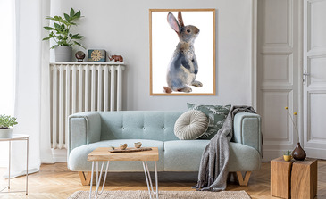 Visualisatie van het product