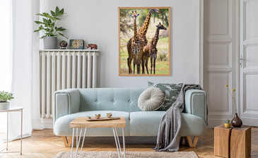 Visualisatie van het product