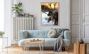 Visualisatie van het product