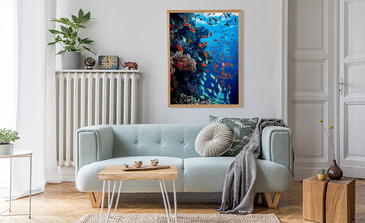 Visualisatie van het product