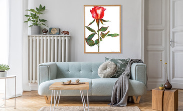 Visualisatie van het product