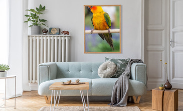 Visualisatie van het product