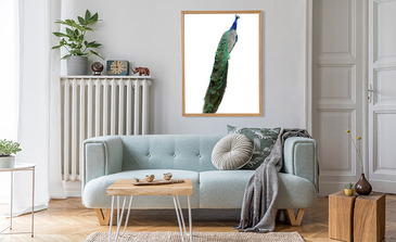 Visualisatie van het product