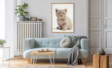 Visualisatie van het product