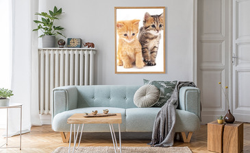 Visualisatie van het product