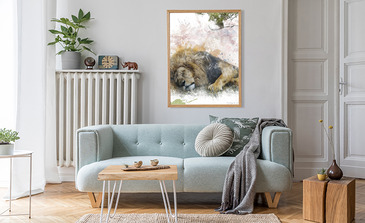 Visualisatie van het product