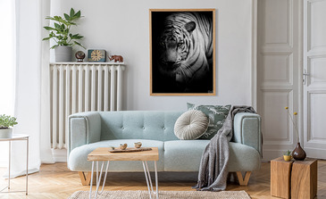 Visualisatie van het product