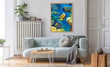 Visualisatie van het product