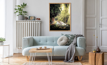 Visualisatie van het product