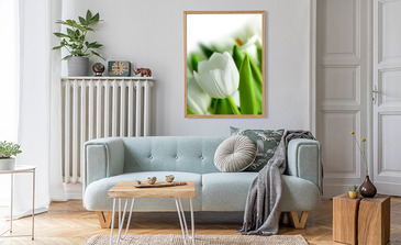 Visualisatie van het product