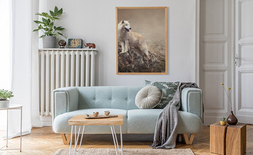 Visualisatie van het product