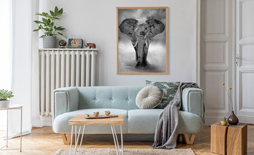 Visualisatie van het product