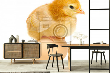 Wizualizacja produktu