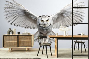 Wizualizacja produktu