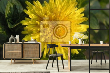 Wizualizacja produktu