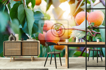 Wizualizacja produktu