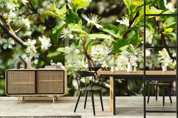 Wizualizacja produktu