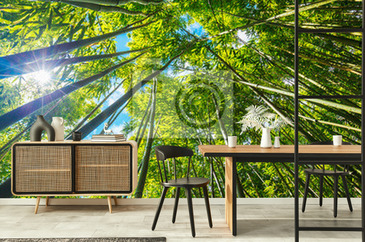 Wizualizacja produktu