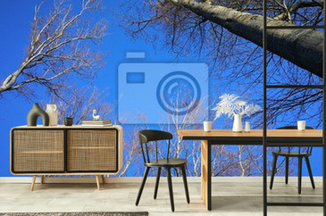 Wizualizacja produktu