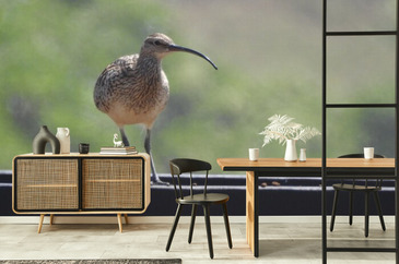 Wizualizacja produktu