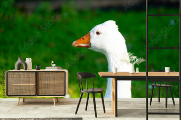 Wizualizacja produktu