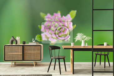 Wizualizacja produktu