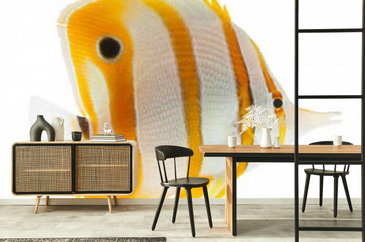 Wizualizacja produktu