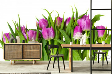 Wizualizacja produktu