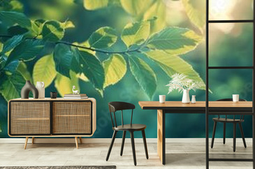 Wizualizacja produktu