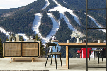 Wizualizacja produktu