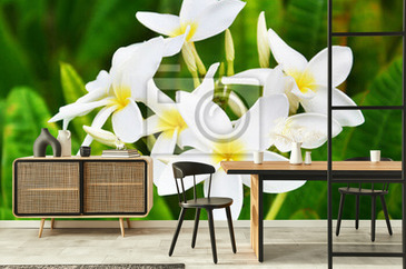 Wizualizacja produktu