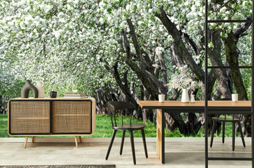 Wizualizacja produktu