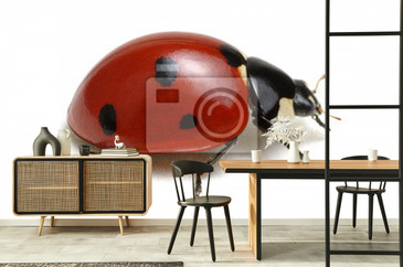 Wizualizacja produktu