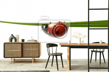 Wizualizacja produktu