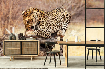 Wizualizacja produktu