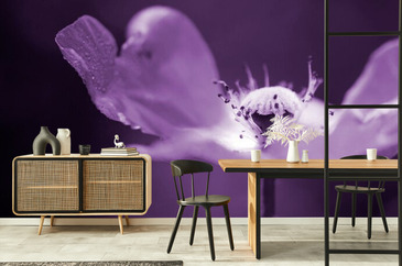 Wizualizacja produktu