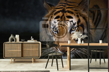 Wizualizacja produktu