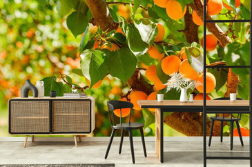 Wizualizacja produktu