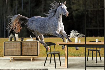 Wizualizacja produktu