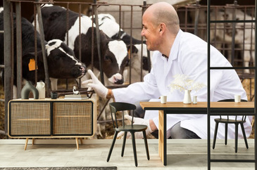 Wizualizacja produktu