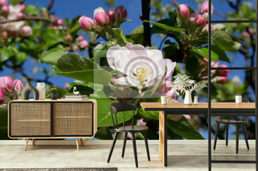 Wizualizacja produktu