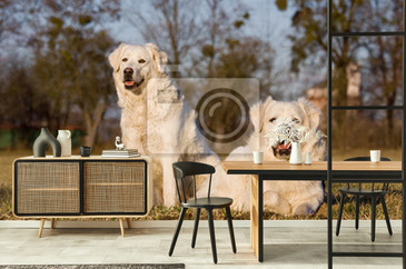 Wizualizacja produktu