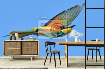 Wizualizacja produktu